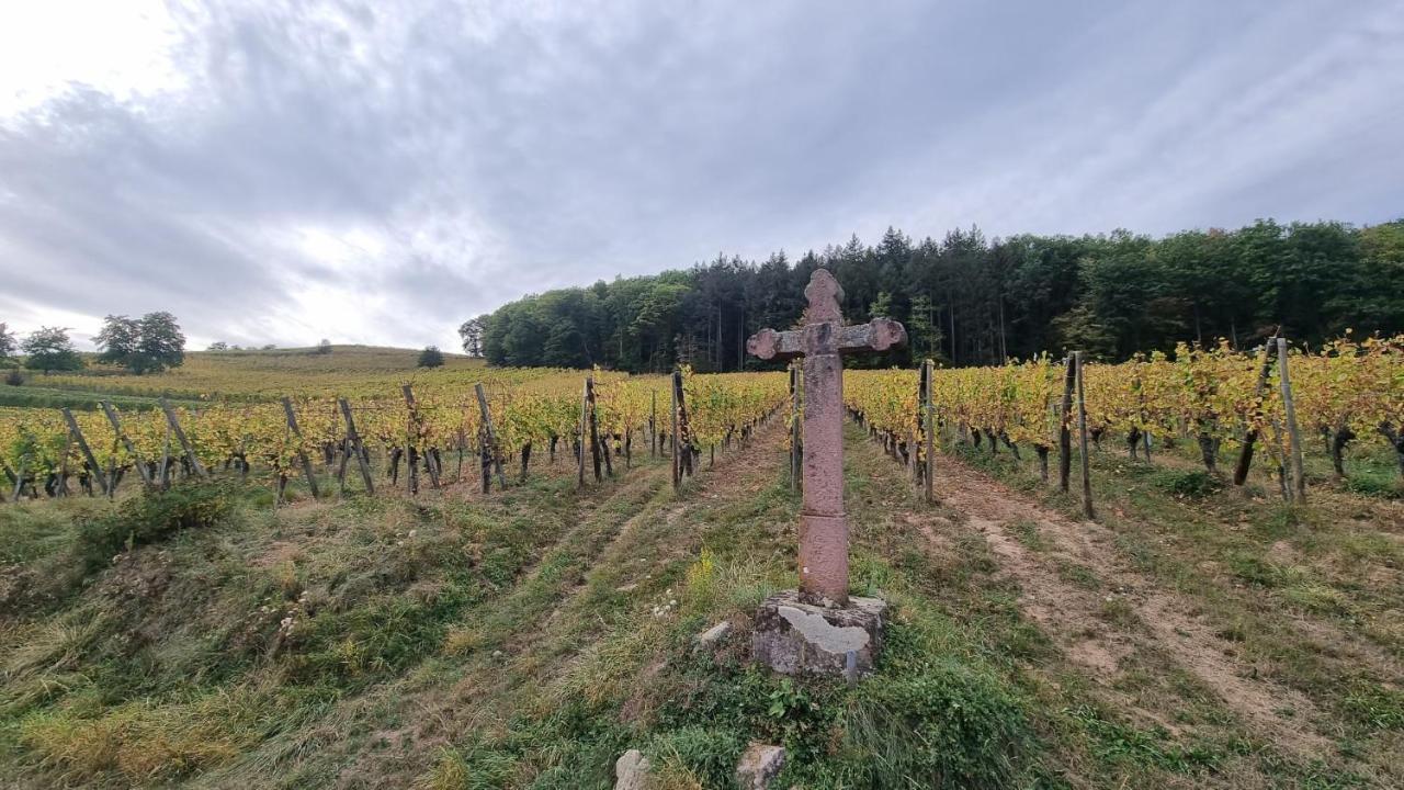 Nid 2 Cigognes Villa Zimmerbach Bagian luar foto
